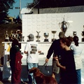 Awards Table
